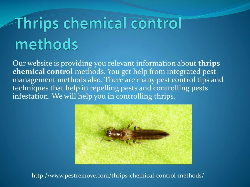 thrips chemical control methods