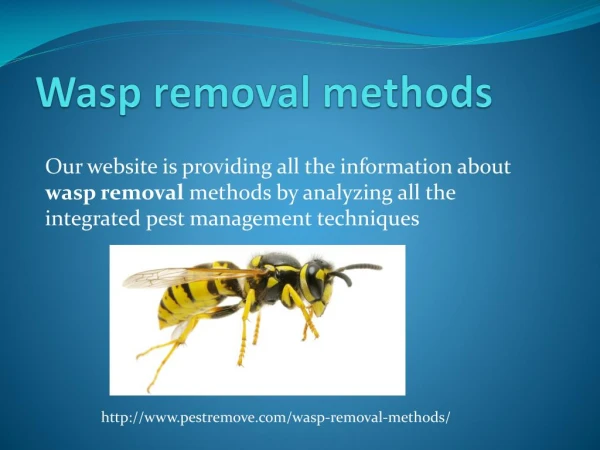 WASP REMOVAL METHODS