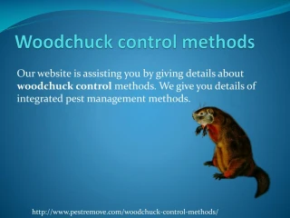 WOODCHUCK CONTROL METHODS - slide 1