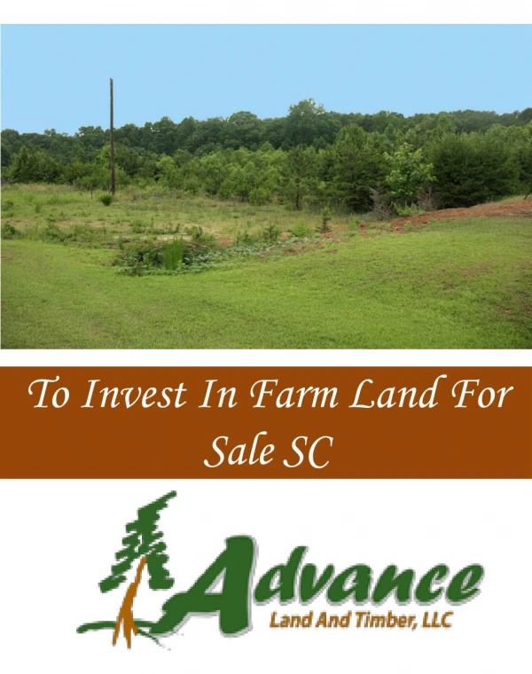 To Invest In Farm Land For Sale SC