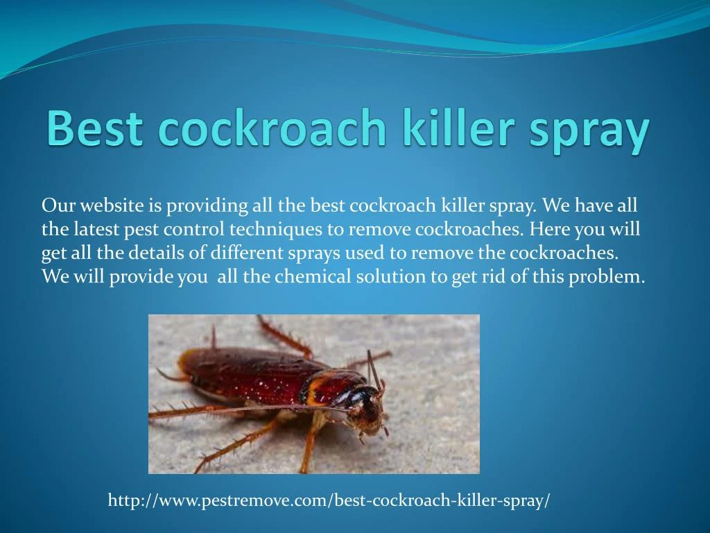 best cockroach killer spray