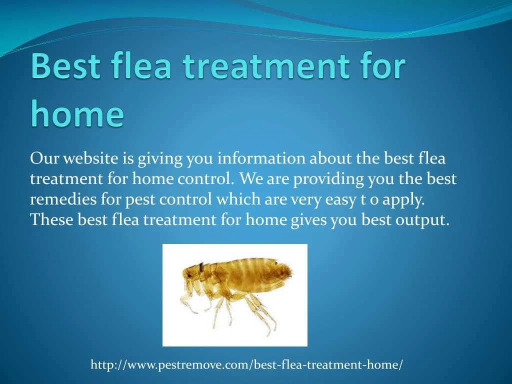 best flea treatment for home