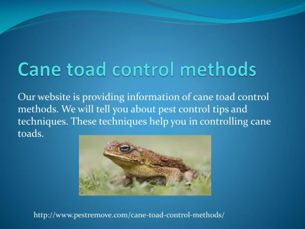 CANE TOAD CONTROL METHODS