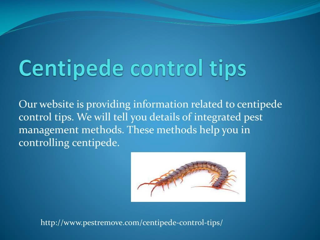 centipede control tips