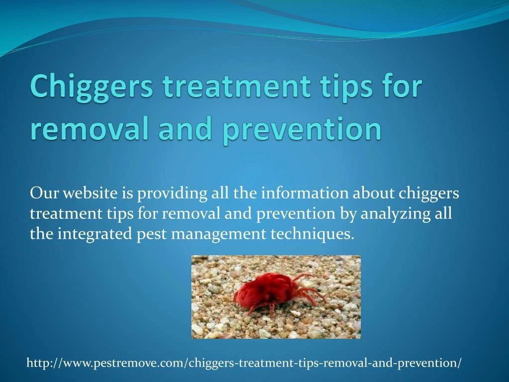 chiggers treatment tips for removal and prevention