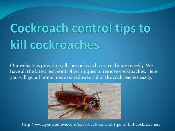 COCKROACH CONTROL TIPS TO KILL COCKROACHES