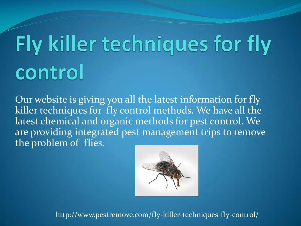 fly killer techniques for fly control