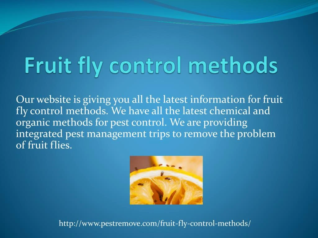 fruit fly control methods