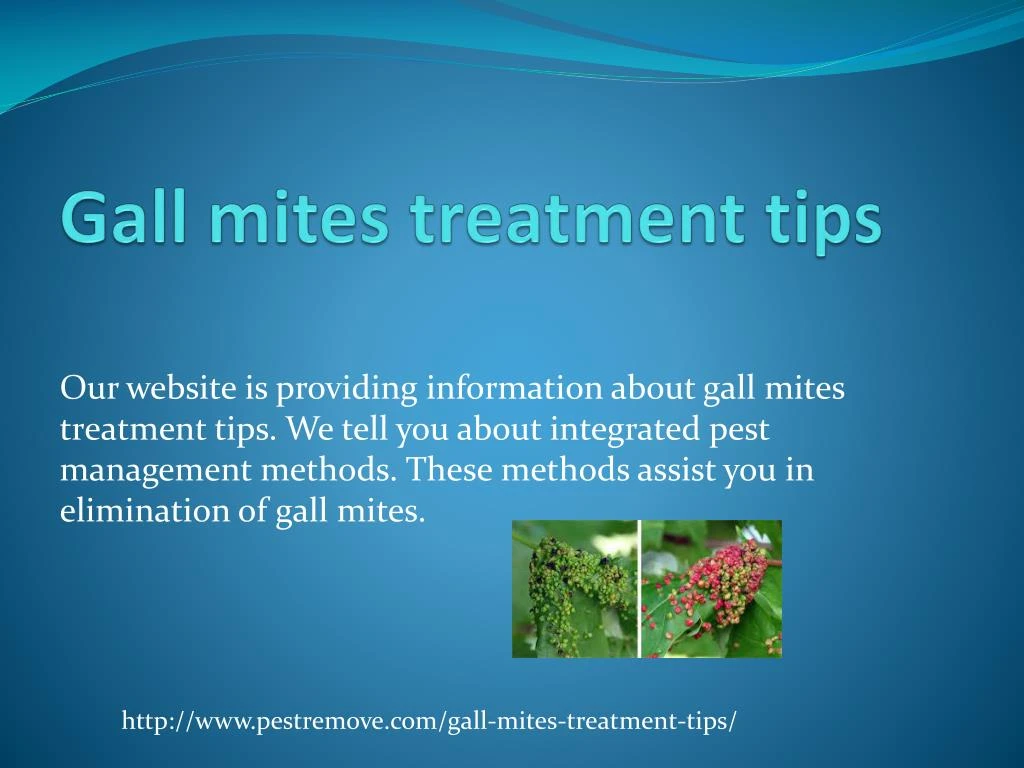 gall mites treatment tips