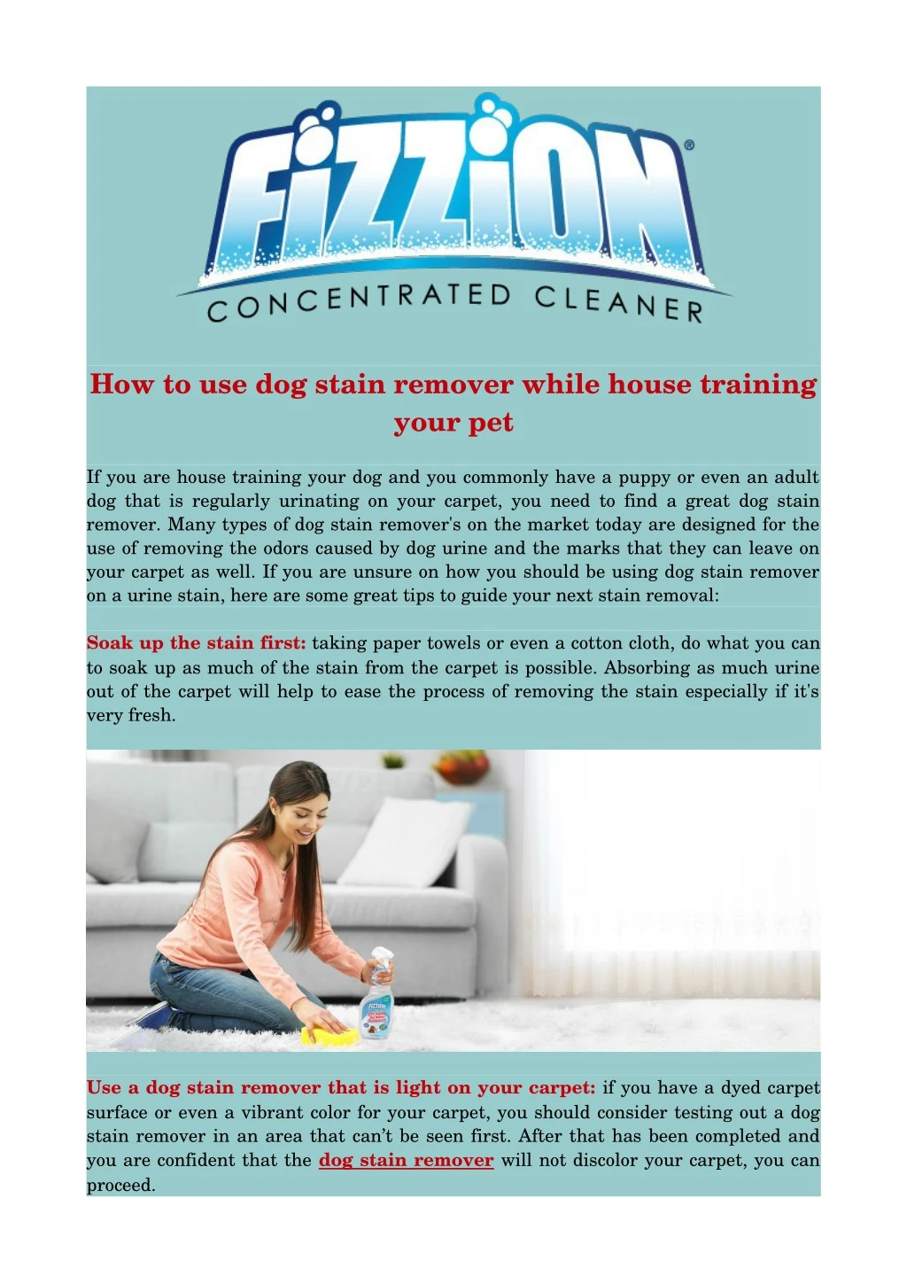 how to use dog stain remover while house training