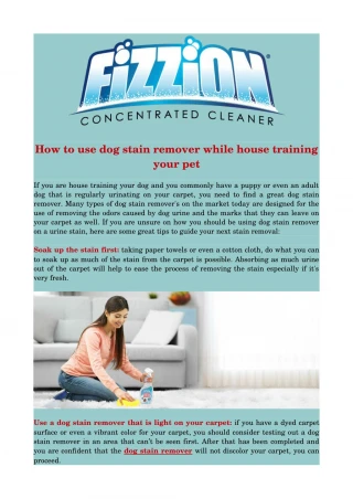 How to use dog stain remover while house training your pet - slide 1