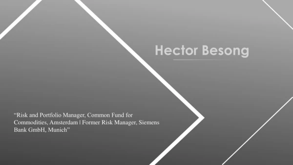 Hector Besong - Risk and Portfolio Manager From Netherlands