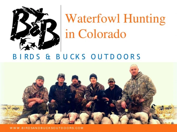 Waterfowl Hunting in Colorado, USA