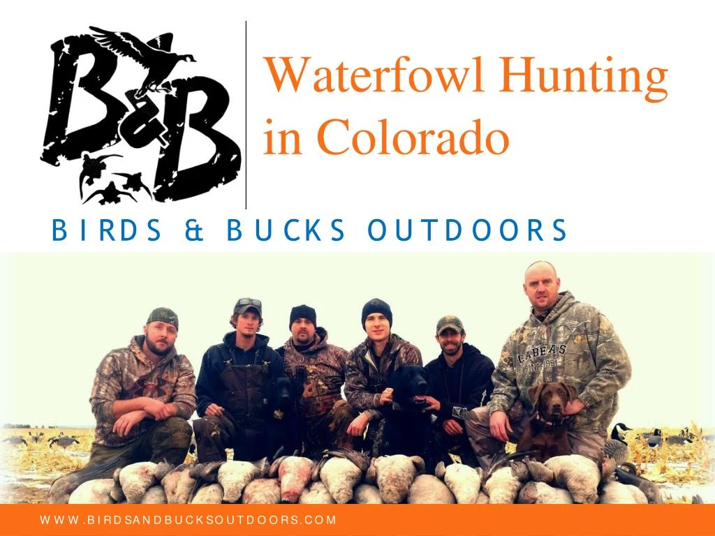 waterfowl hunting in colorado