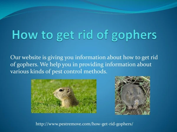 HOW TO GET RID OF GOPHERS