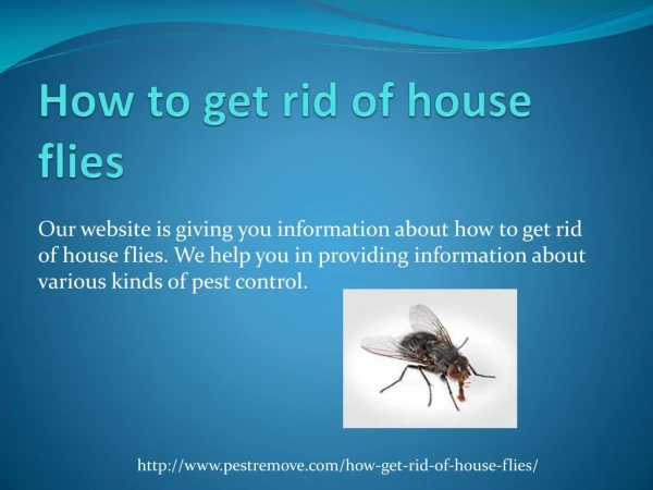 HOW TO GET RID OF HOUSE FLIES