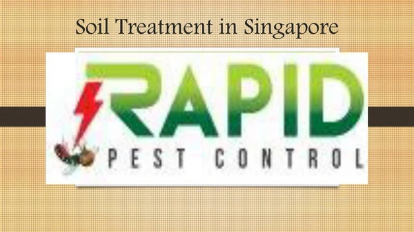 Soil Treatment in Singapore