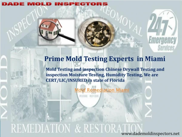 Prime Mold Testing Experts in Miami
