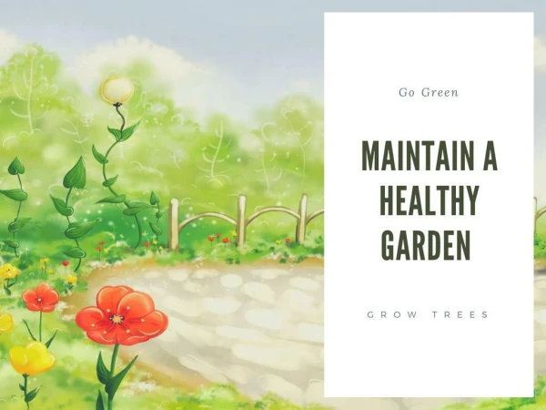 Maintain a healthy garden