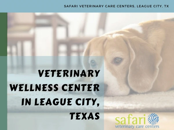 Looking for an Animal Wellness Center in Texas areas? Safari Vet is here.