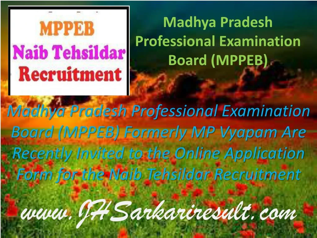madhya pradesh professional examination board