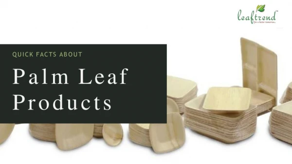 Quick Facts about Palm Leaf Eco-Products