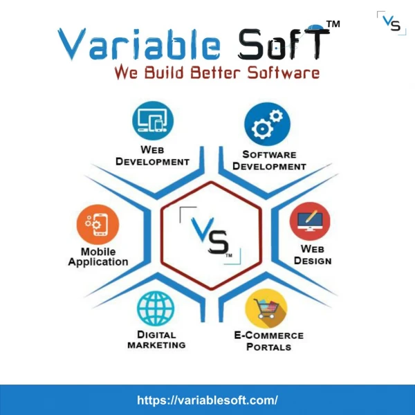 Best software company in jaipur