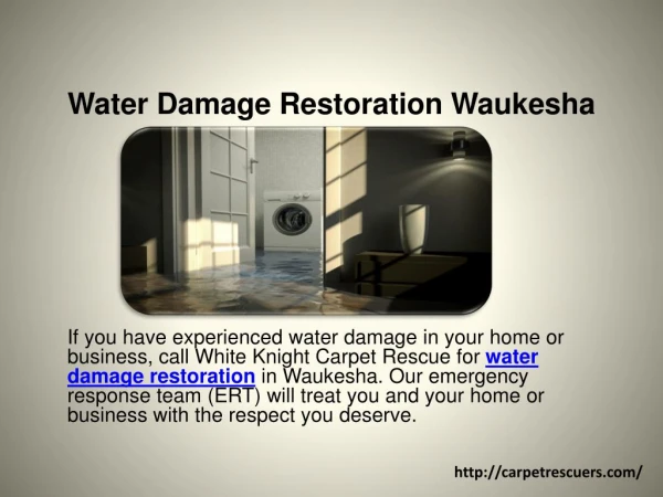 Water Damage Restoration Waukesha