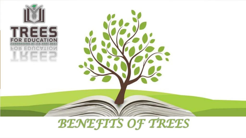 benefits of trees