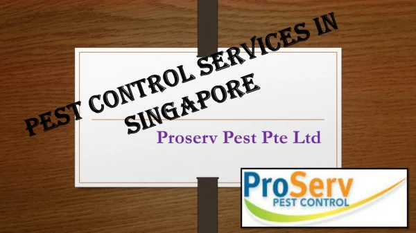 Pest Control Service in Singapore