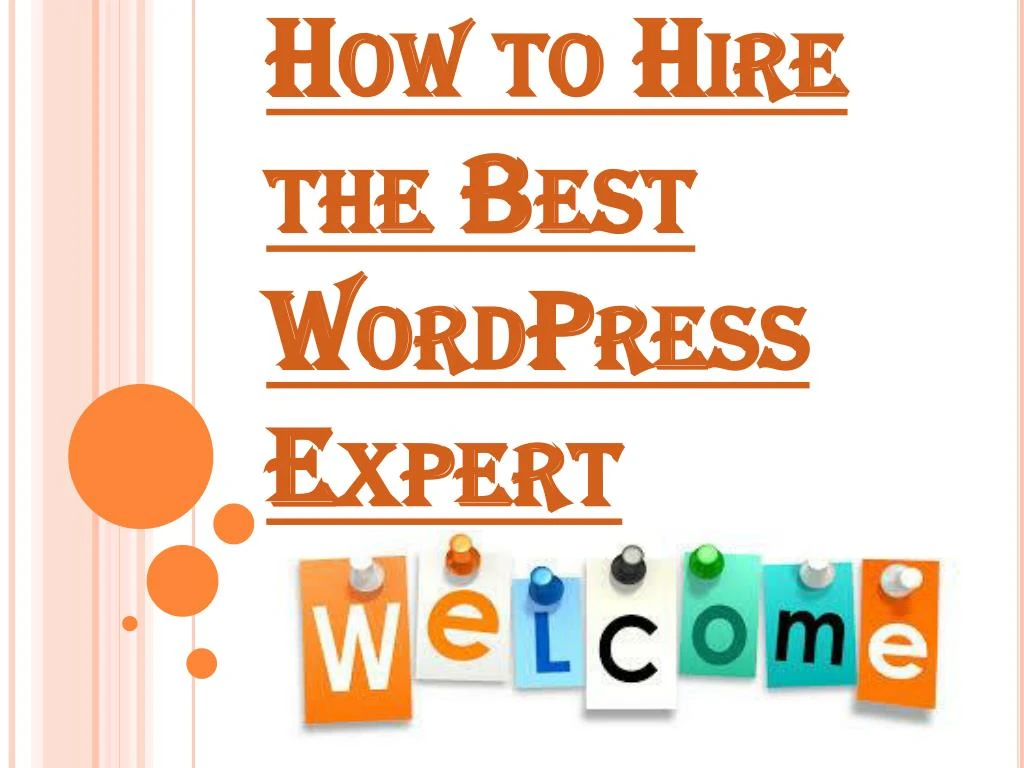 how to hire the best wordpress expert