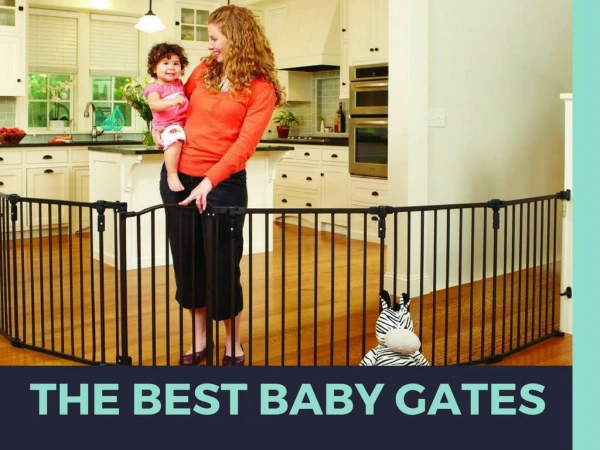 Reviews for Pet Gates and Baby Gates | Read Here