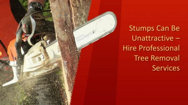Stumps can be Unattractive â€“ Hire Professional Tree removal Services