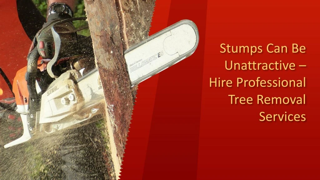 stumps can be unattractive hire professional tree