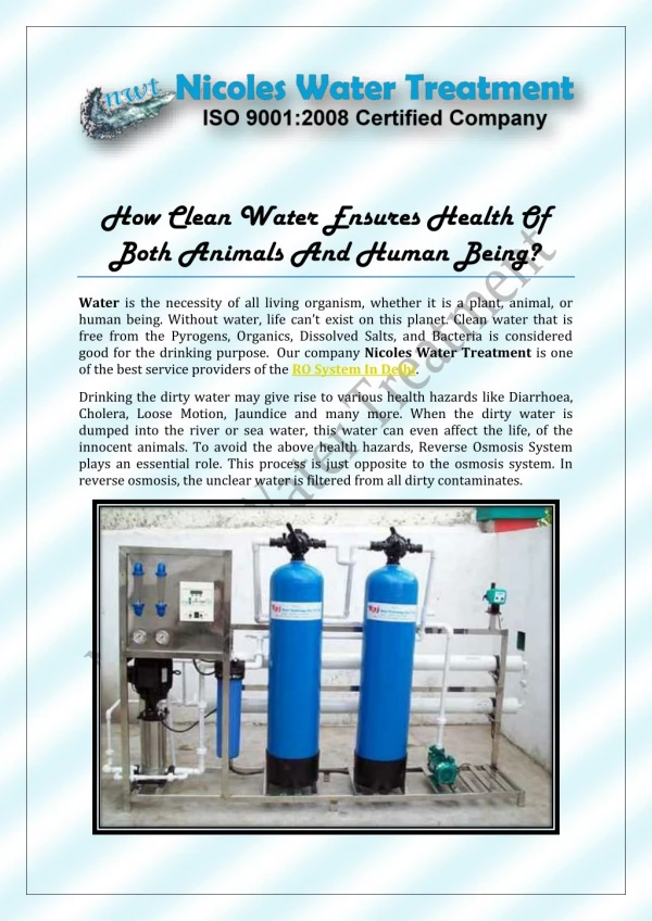 How Clean Water Ensures Health Of Both Animals And Human Being?
