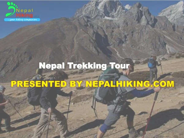 Nepal Trekking Tour - Discover Nepal's Top 5 Treks
