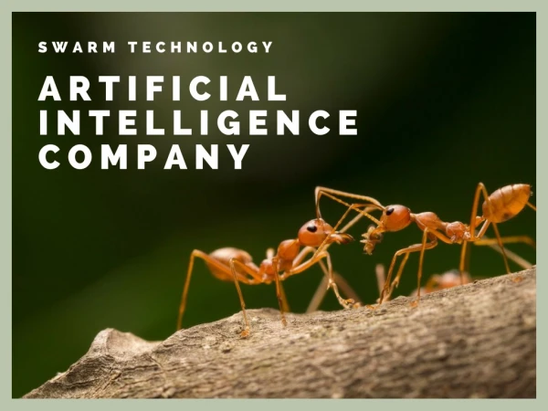Best Artificial intelligence companies -Swarm Technology