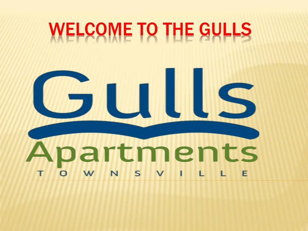 welcome to the gulls