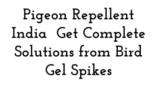 Pigeon Repellent India Get Complete Solutions from Bird Gel Spikes