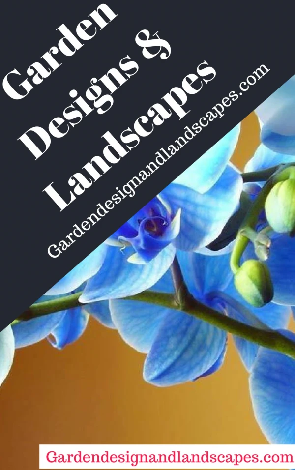 Drought tolerant landscaping Los Angeles