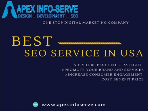 Best SEO Service in USA | Contact Apex Info-Serve