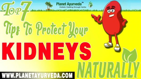 7 Ways Maintain a Healthy Kidney Naturally