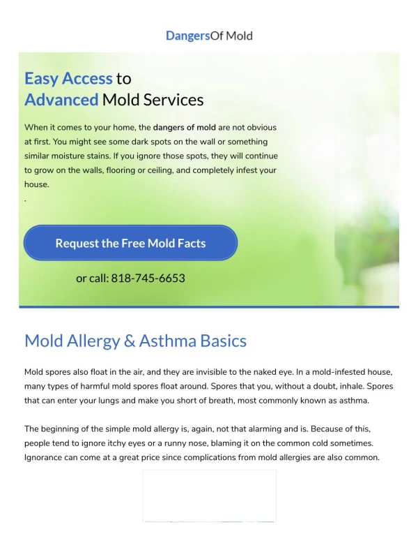 Dangers of Mold | Tests, Treatment, Removal in Los Angeles