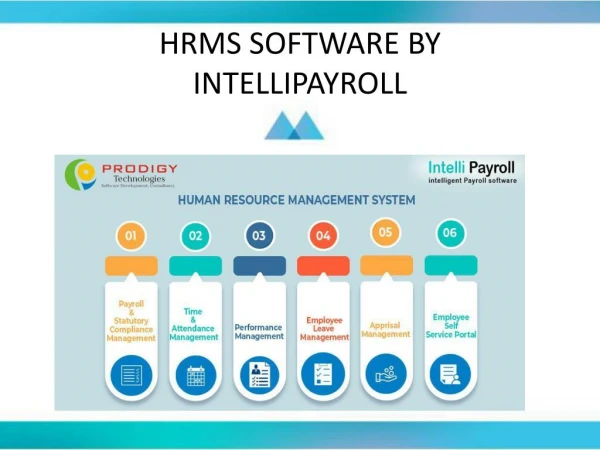 HRMS Software - IntelliPayroll