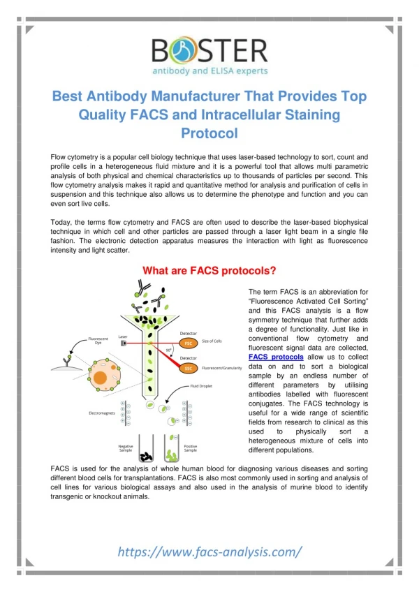 FACS Staining Protocol