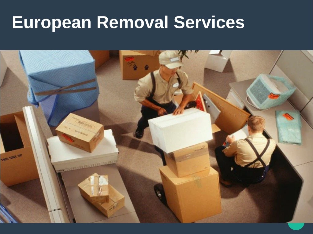european removal services