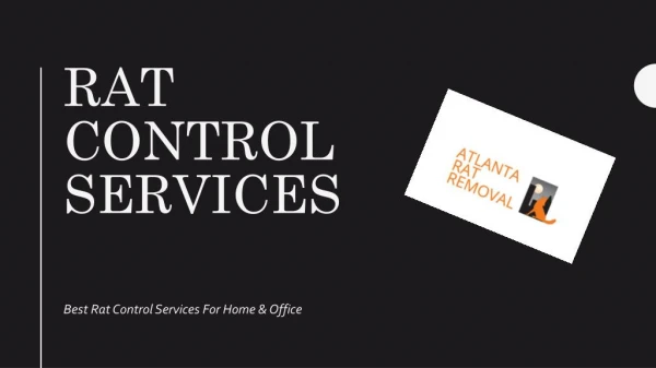 Hire Rat Control Services