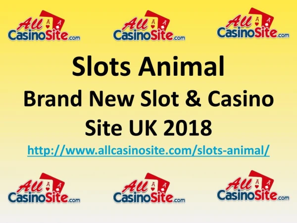 Slots Animal - Brand New Slot & Casino Site UK 2018