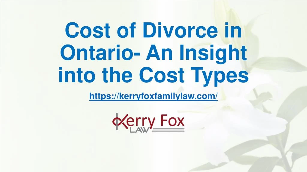cost of divorce in ontario an insight into the cost types