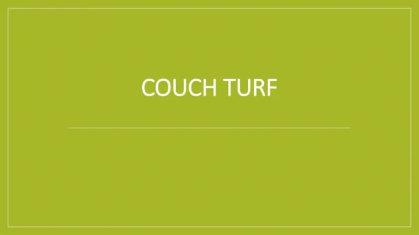 Couch Turf